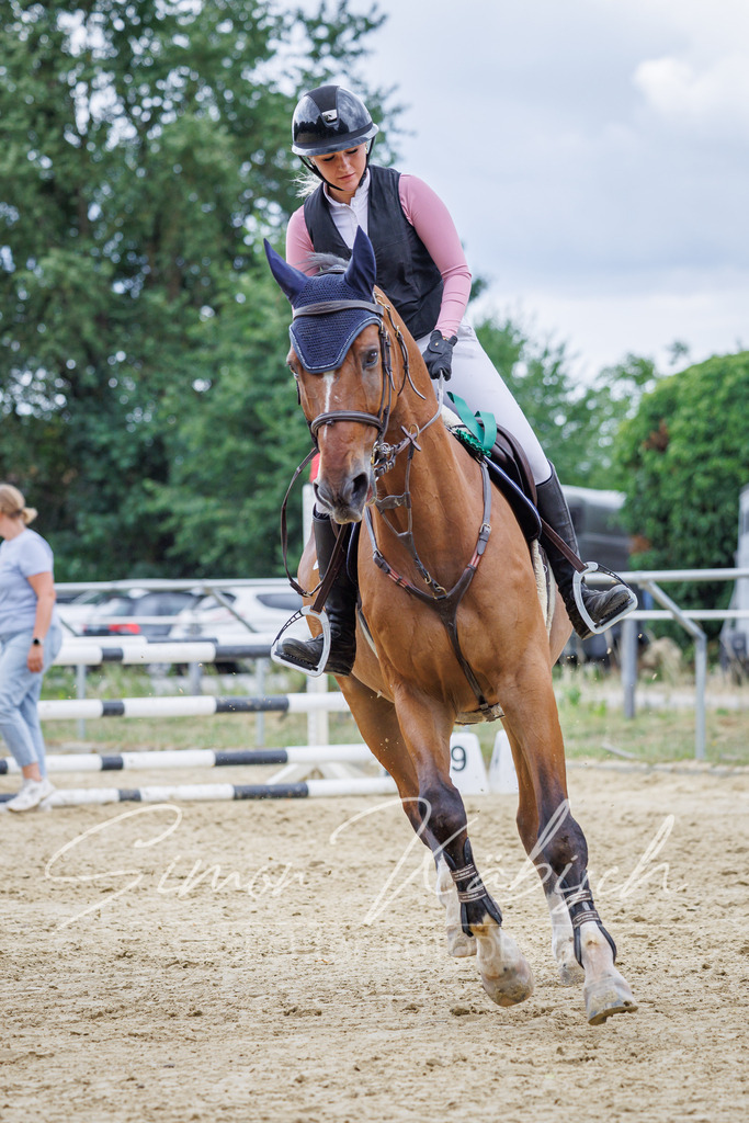 20260705-_3LI5754 | Tierfotografie Pferde, Hunde, Katzen, Haustiere.
Turnierfotografie Reitturniere, Reiten, Springreiten, Dressur in Hanau, dem Main-Kinzig-Kreis und dem Rhein-Main- Gebiet um Frankfurt