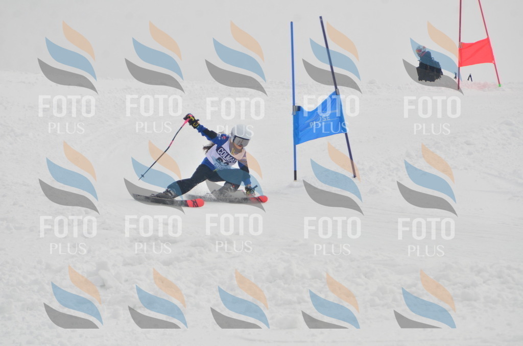 A5510 | holidayphoto