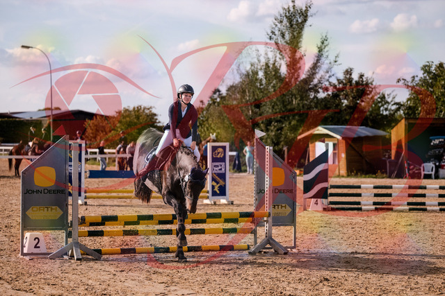 2026_10_03_Siefer-Hof_160055_Z81_81582224 | Professionelle Reitsport-, Turnier- und Eventfotografie von Robert Broda. Galerien mit ausgewählten und bearbeiteten Bildern direkt online ansehen und bestellen.