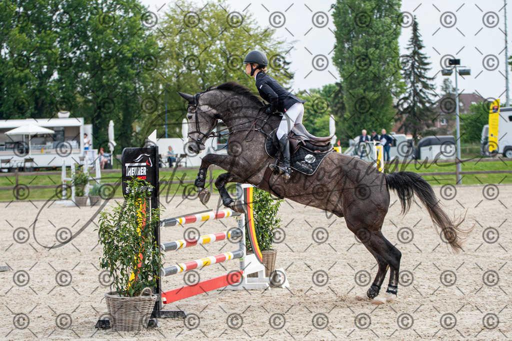 KPT_2561 | andre_photographic