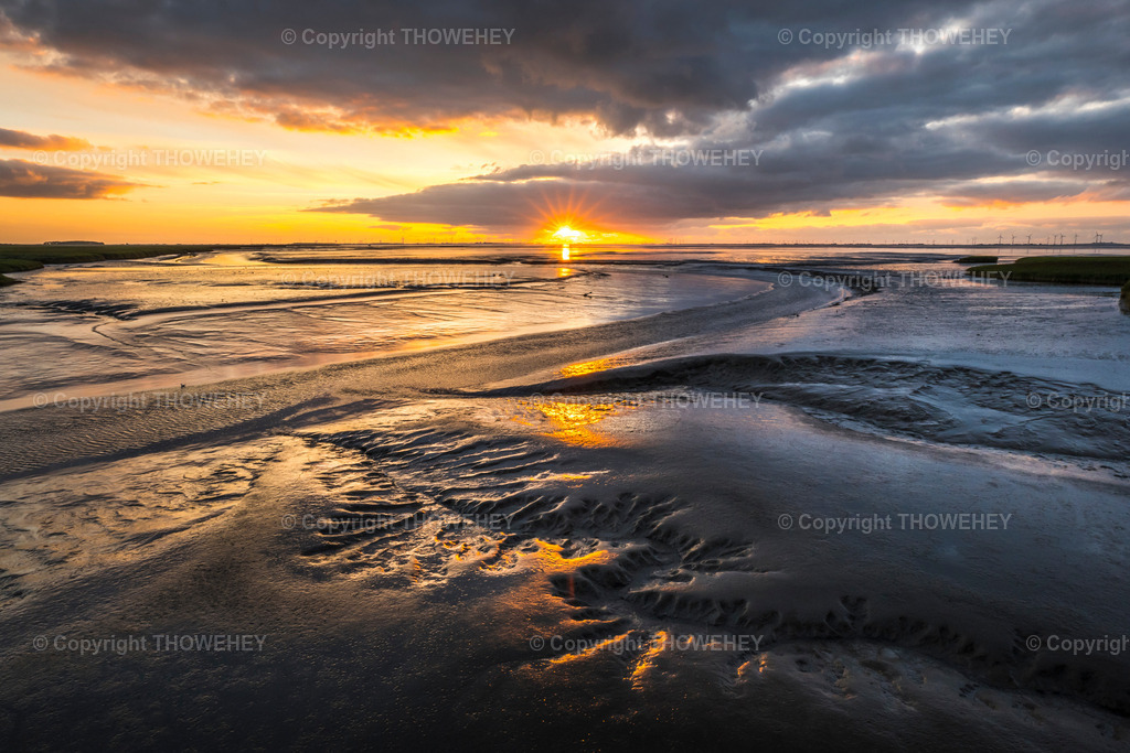 _1001312 | thowehey - Realisiert mit Pictrs.com