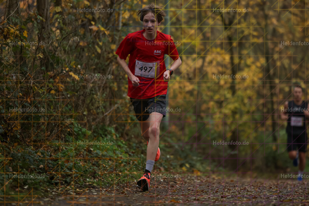 Neusser Erftlauf 2025  | Neusser Erftlauf 2025 Foto: Heldenfoto.de
