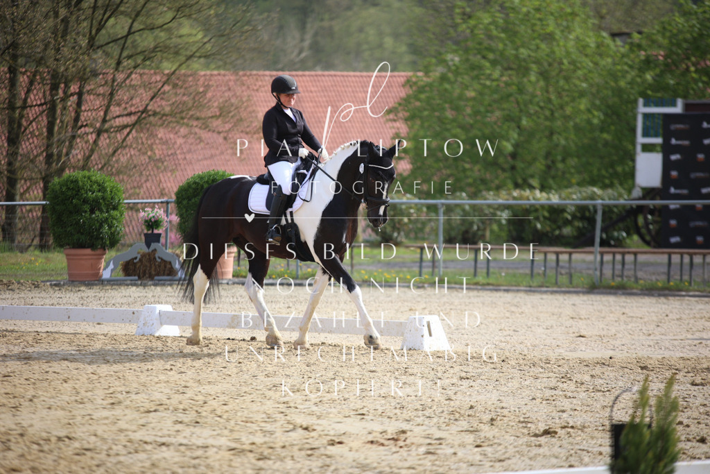 IMGT6449 | pl-fotografie