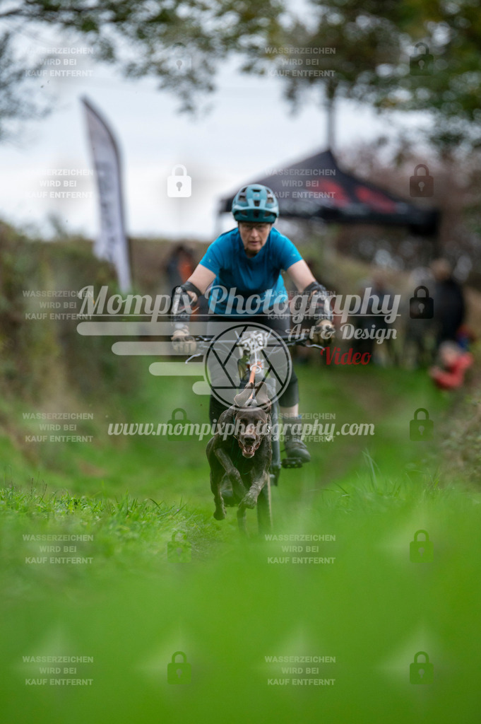 TSB_2023_E8_Bike-22 | PayLife