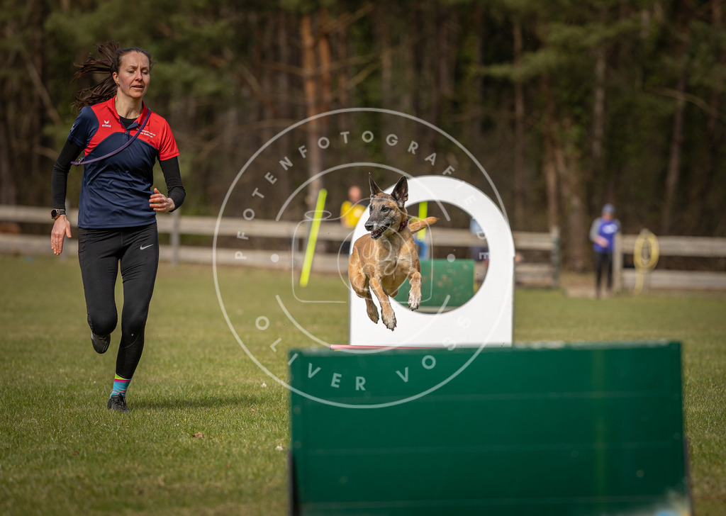 Pfotenfotografie_DV3A8484 | Hundefotografie, Tierfotograf, Pfotenfotografie, Fotoshooting Hund, Hunde Portrait, Hundesport, Hundeportraits, Heideshooting, Hunde, Sportfotograf, Hundefotograf, Turnierhundsport, THS,  - Realisiert mit Pictrs.com