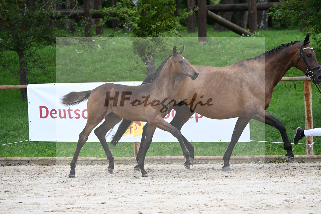 Kat-Nr. 10 HF Bonds_ZG Hoehnl u Prummer_25230150 | hf-fotografie - Realisiert mit Pictrs.com