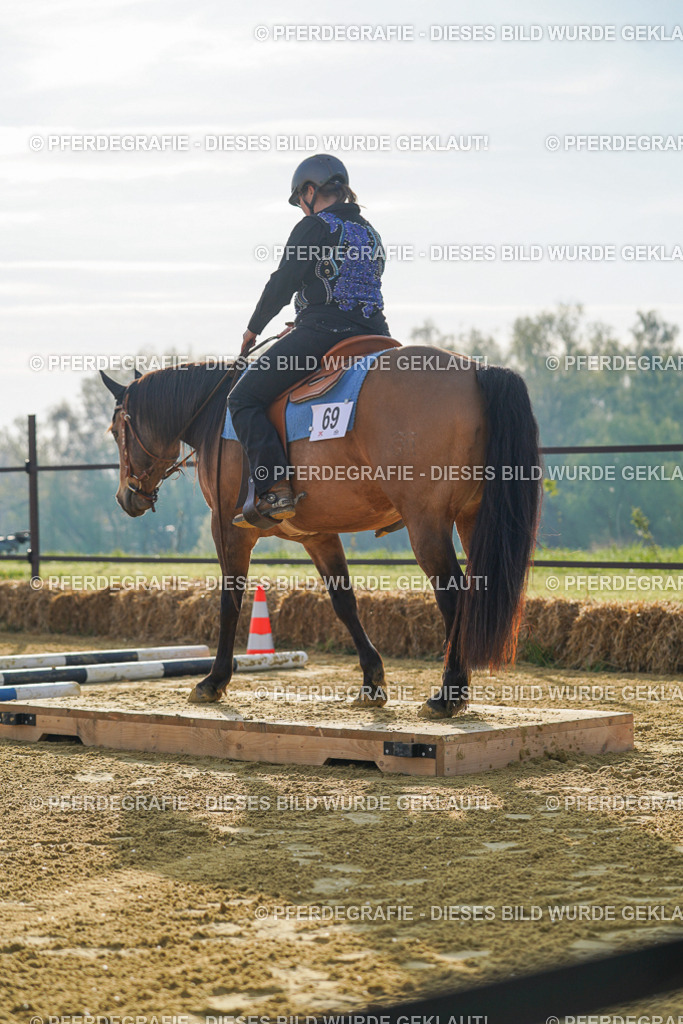 DSC00619 | Pferdegrafie