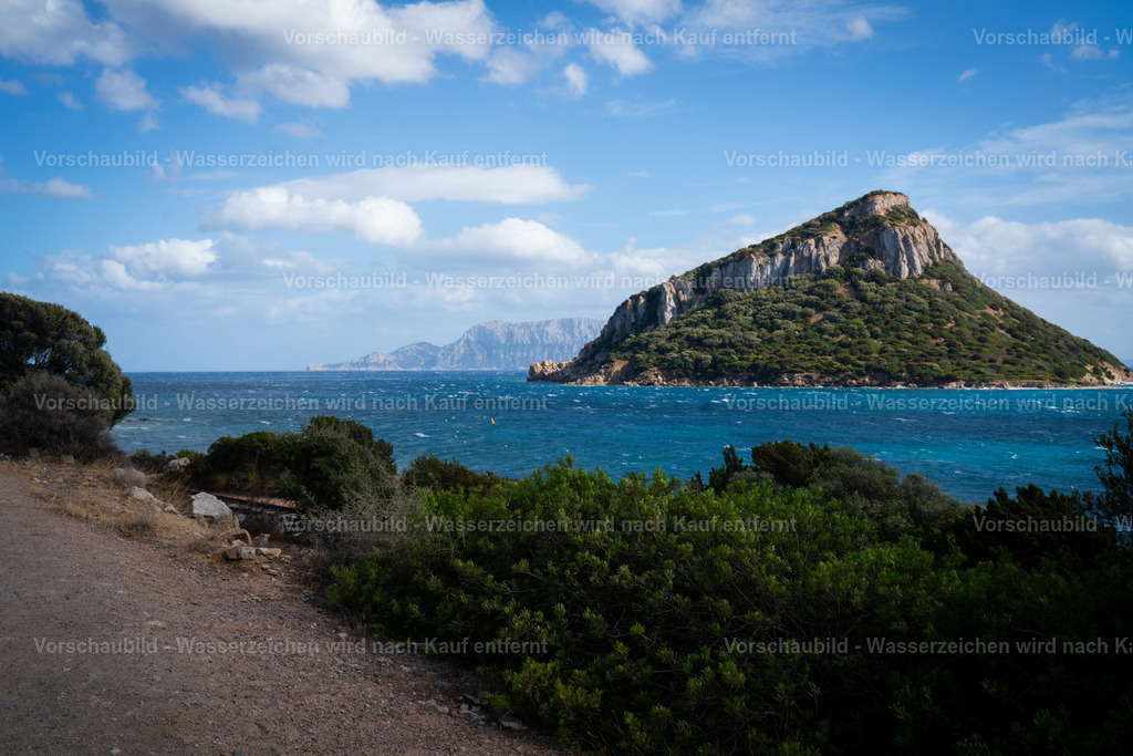 DSC09083 | marcuslinek