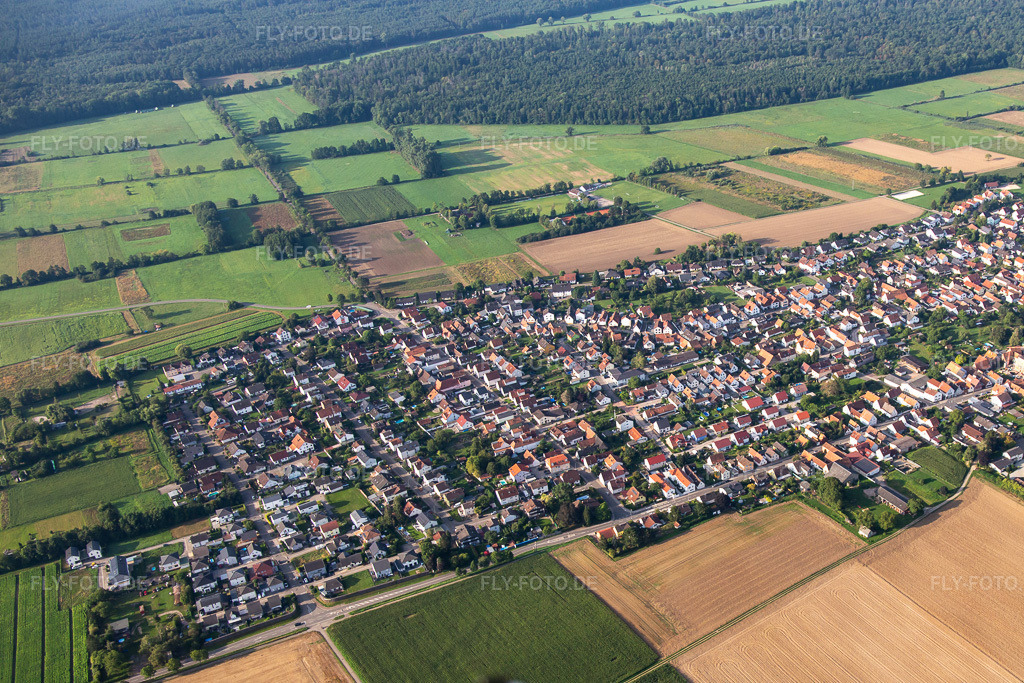 Luftbild: Ortsansicht von Norden in Minfeld im Bundesland Rheinland-Pfalz in Deutschland. Foto: IMG_138111.jpg vom 19.08.2023 durch Werner Riehm/FLY-FOTO.de