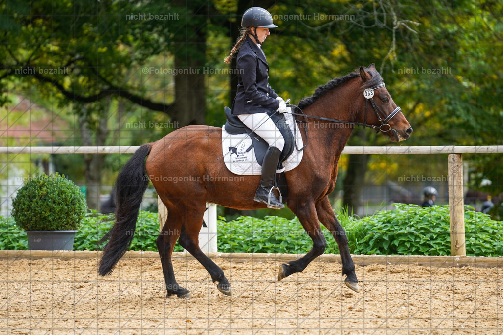 20221008-FAH01287 | Diessen am Ammersee, 2022, Dressur- und Springturnier, Reitsportbilder, Turnierfotografen Bayern, Pferdefotografen, Fotoagentur Herrmann, Turnierbilder