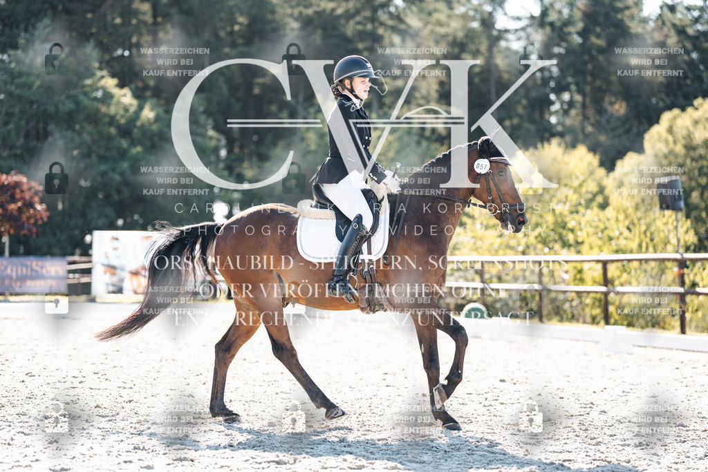 CK906264 | Turnierfotografie Pferdefotografie Trier Rheinland-Pfalz Pferdesport Reitsport Tierfotografie Sportfotografie Pferdevideo Pferdevideografie Equestrianvideography equestrianphotography  - Realisiert mit Pictrs.com