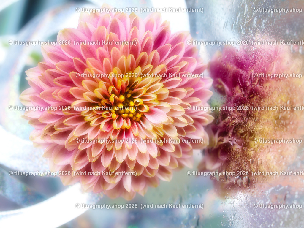 titusgraphy_P7088728-vz-ln | titusgraphy-shop: Geschenkideen mit Qualitätsfotos. titusgraphy-shop: gift ideas with quality photos. titusgraphy-shop: idées cadeaux avec photos de qualité.  - Realisiert mit Pictrs.com