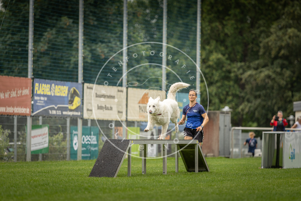 Pfotenfotografie_DV3A8494 | Hundefotografie, Tierfotograf, Pfotenfotografie, Fotoshooting Hund, Hunde Portrait, Hundesport, Hundeportraits, Heideshooting, Hunde, Sportfotograf, Hundefotograf, Turnierhundsport, THS,  - Realisiert mit Pictrs.com