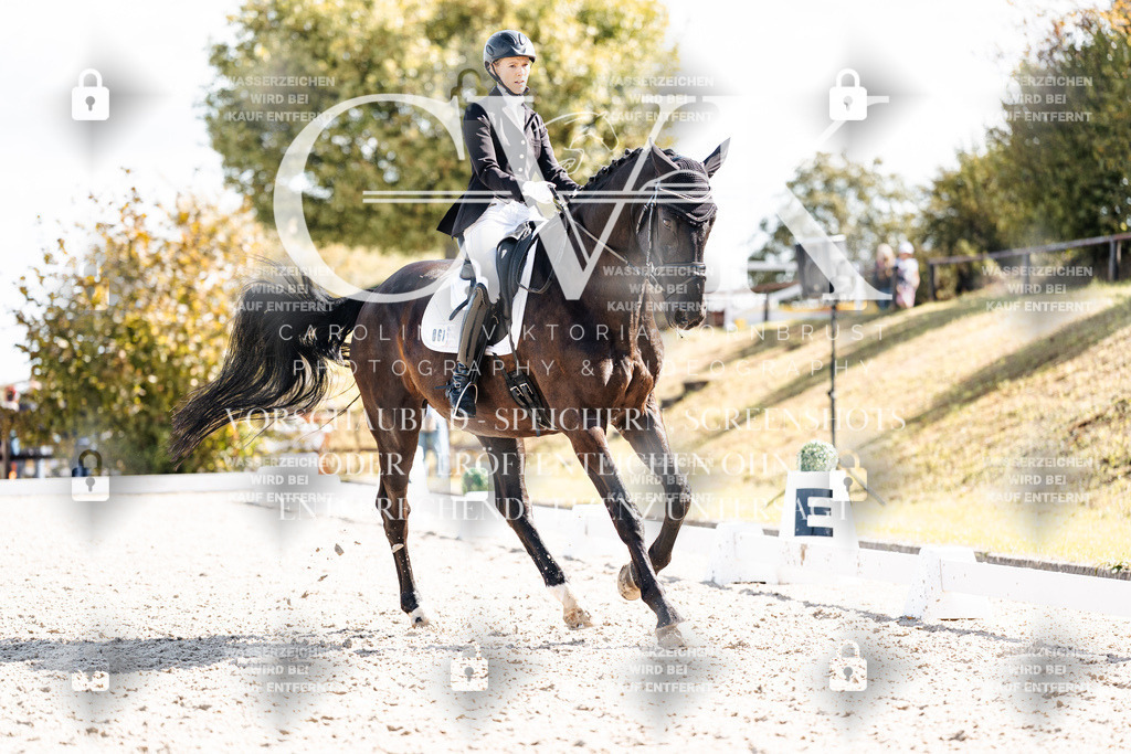 CK902572 | Turnierfotografie Pferdefotografie Trier Rheinland-Pfalz Pferdesport Reitsport Tierfotografie Sportfotografie Pferdevideo Pferdevideografie Equestrianvideography equestrianphotography  - Realisiert mit Pictrs.com