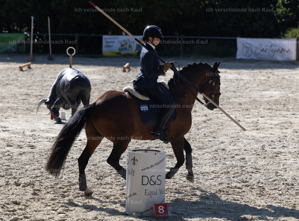 WS_StilTail_46_KerstinBernhardt-7 | working equitationturnier fotograf videograf stoibphotography marixx film working equitation deutschland reitsport turnierfotografie eventfotografie equestrian events