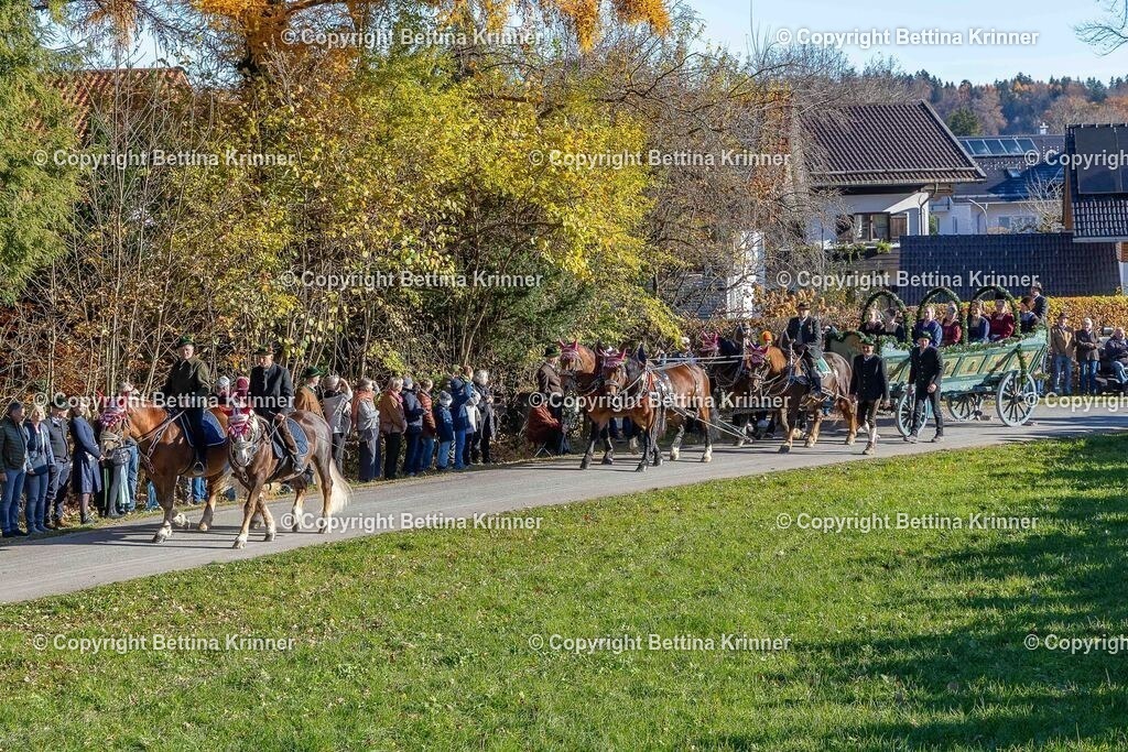 LBT25-111 | foto-bettina-krinner - Realisiert mit Pictrs.com
