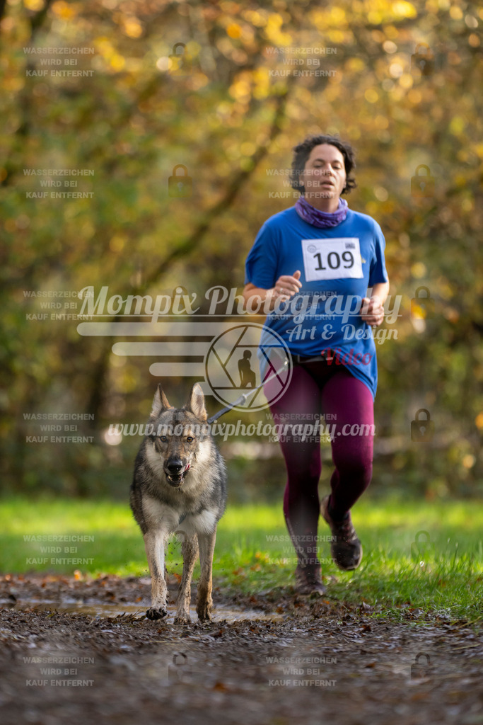 MompixPhotography_Bischwiller23_Canicross-84 | PayLife