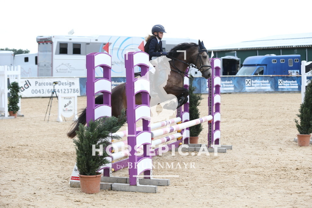 DL2Q4532 | Willkommen bei Brunnmayr - Design & Fotografie – Ihrem Spezialisten für Reitturniere und Pferdeveranstaltungen in Oberösterreich, Salzburg und Bayern! Seit über 17 Jahren sind wir leidenschaftlich dabei.