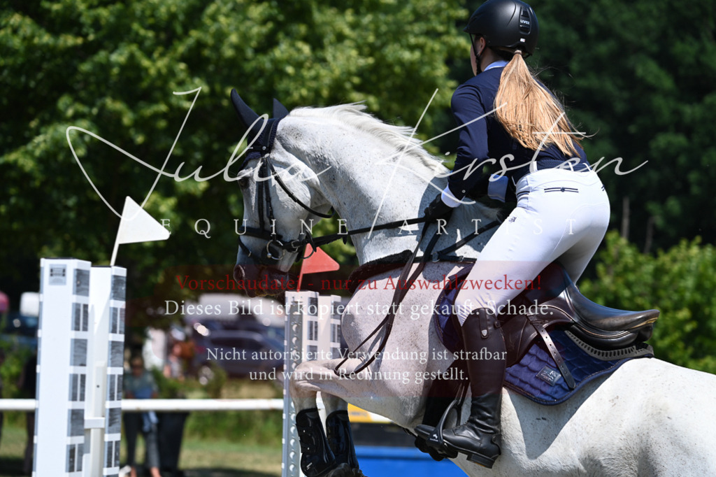 DSC_0565 | Pferde- und Turnierfotografie in Westsachsen. Pferdeportraits, Auftragszeichnungen und intuitive Kunst.