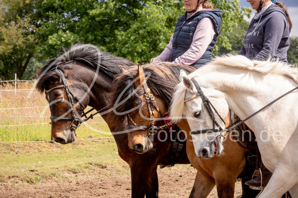 846A0961 | fotosleben - Realisiert mit Pictrs.com