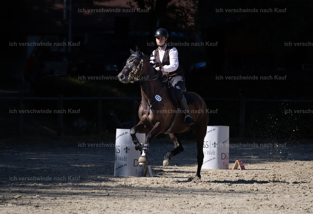 WL_Speed_25_KerstinBernhardt | working equitationturnier fotograf videograf stoibphotography marixx film working equitation deutschland reitsport turnierfotografie eventfotografie equestrian events