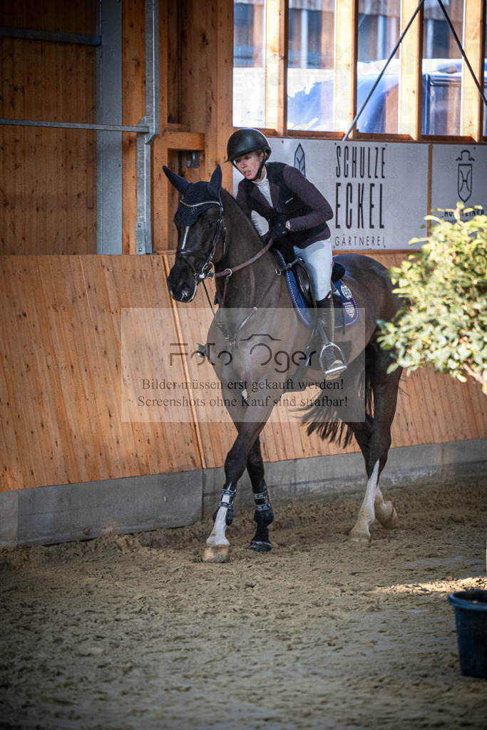 DOS_0667 | Entdecke hochwertige Reitturnierfotos von Foto Oger. Professionell, emotional und authentisch – jetzt Lieblingsmomente im Shop bestellen.Deutschlandweite Turnierfotografie. - Realisiert mit Pictrs.com
