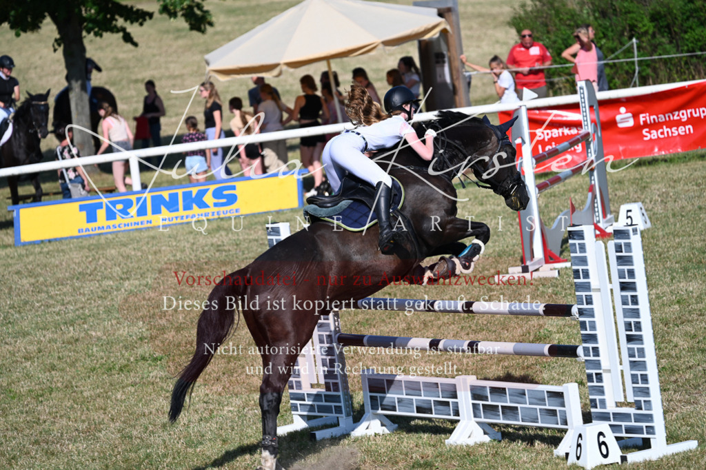 DSC_2503 | Pferde- und Turnierfotografie in Westsachsen. Pferdeportraits, Auftragszeichnungen und intuitive Kunst.