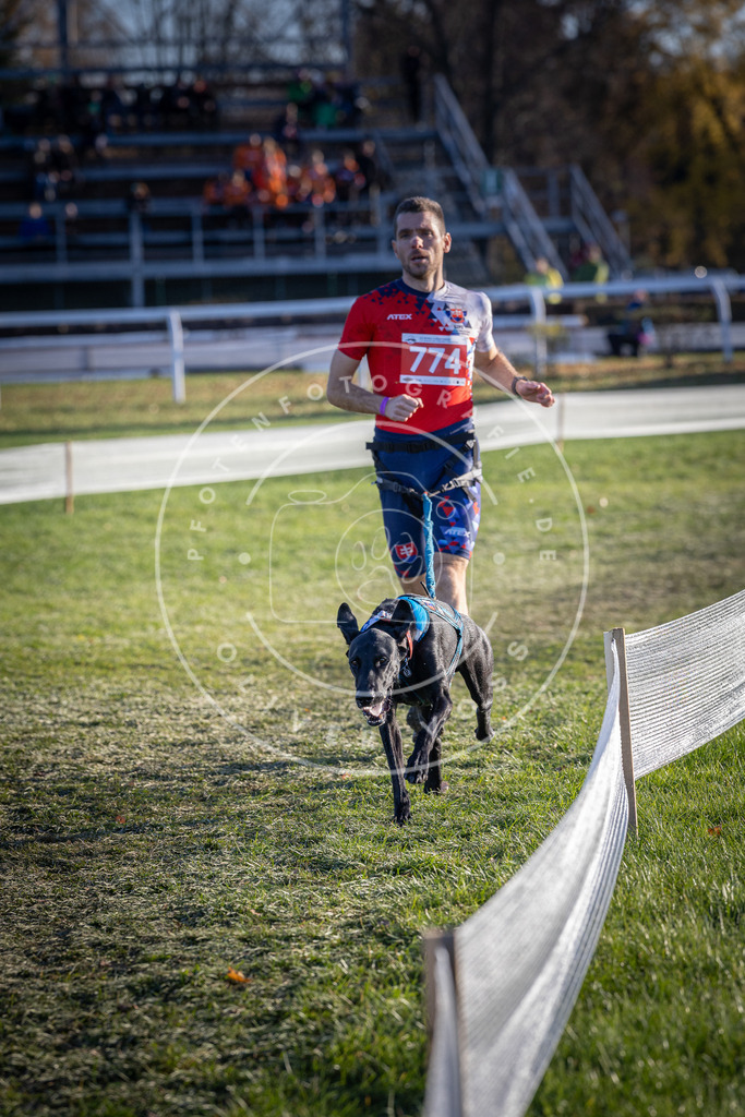 CaniXpix_DV3A2705 | Hundefotografie, Tierfotograf, Pfotenfotografie, Fotoshooting Hund, Hunde Portrait, Hundesport, Hundeportraits, Heideshooting, Hunde, Sportfotograf, Hundefotograf, Turnierhundsport, THS,  - Realisiert mit Pictrs.com
