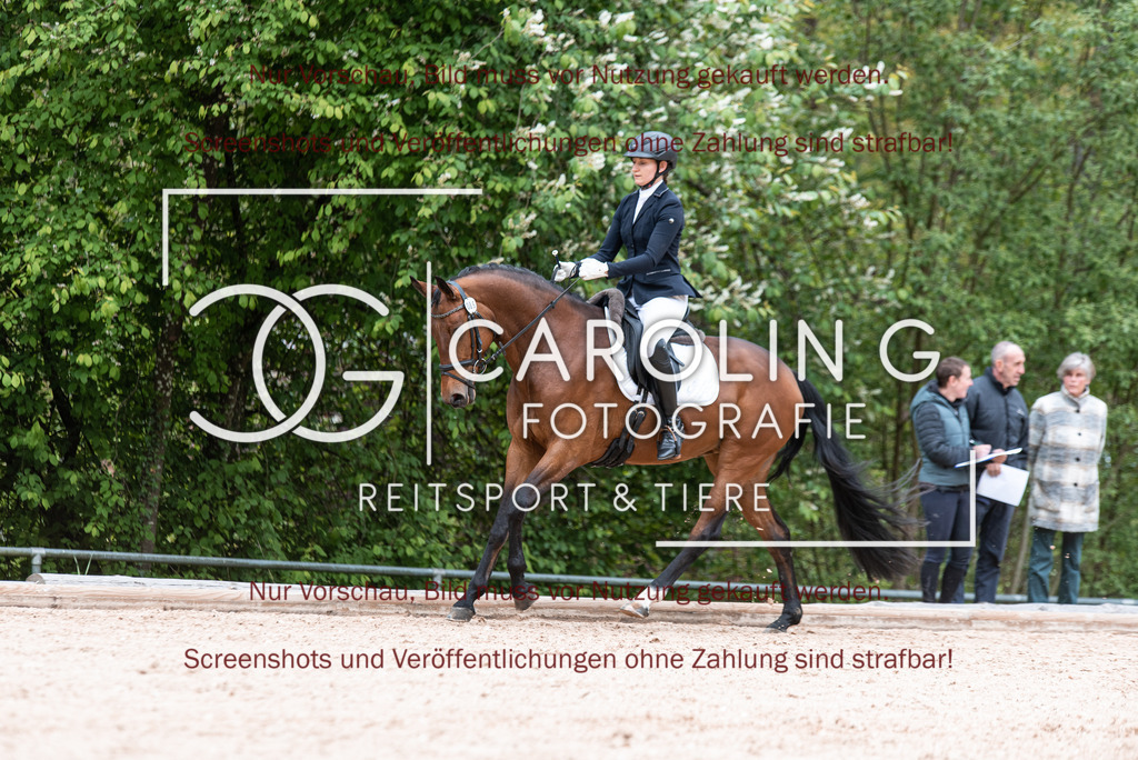 DSC_7012 | Turnierfotografin Carolin Gieschke,Reitsport Turnierfotografie Carolin G Fotografie | Turnierfotos aus Kirchheim/Teck, Esslingen, Stuttgart und dem Bodenseekreis
