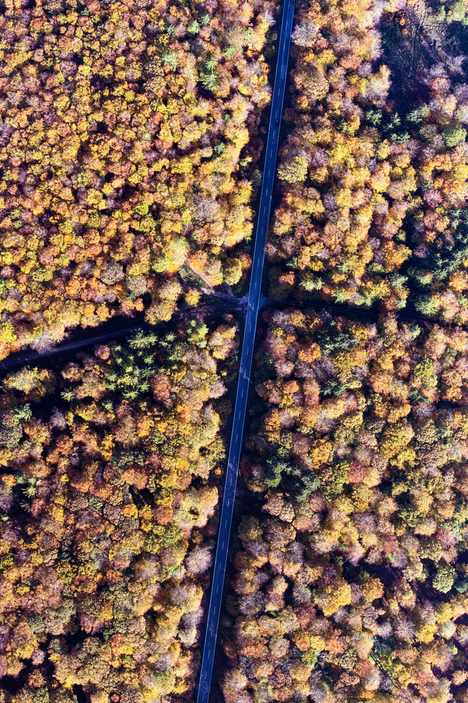 dr__0040650.jpg | BACHARACH 31.10.2019 Herbstliche verfärbte Vegetationsansicht Verlauf der Straßenführung in einem Waldgebiet in Bacharach im Bundesland Rheinland-Pfalz, Deutschland. // Autumnal discolored vegetation view street - road guidance in a forest area in Bacharach in the state Rhineland-Palatinate, Germany. Foto: Daniel Reiter