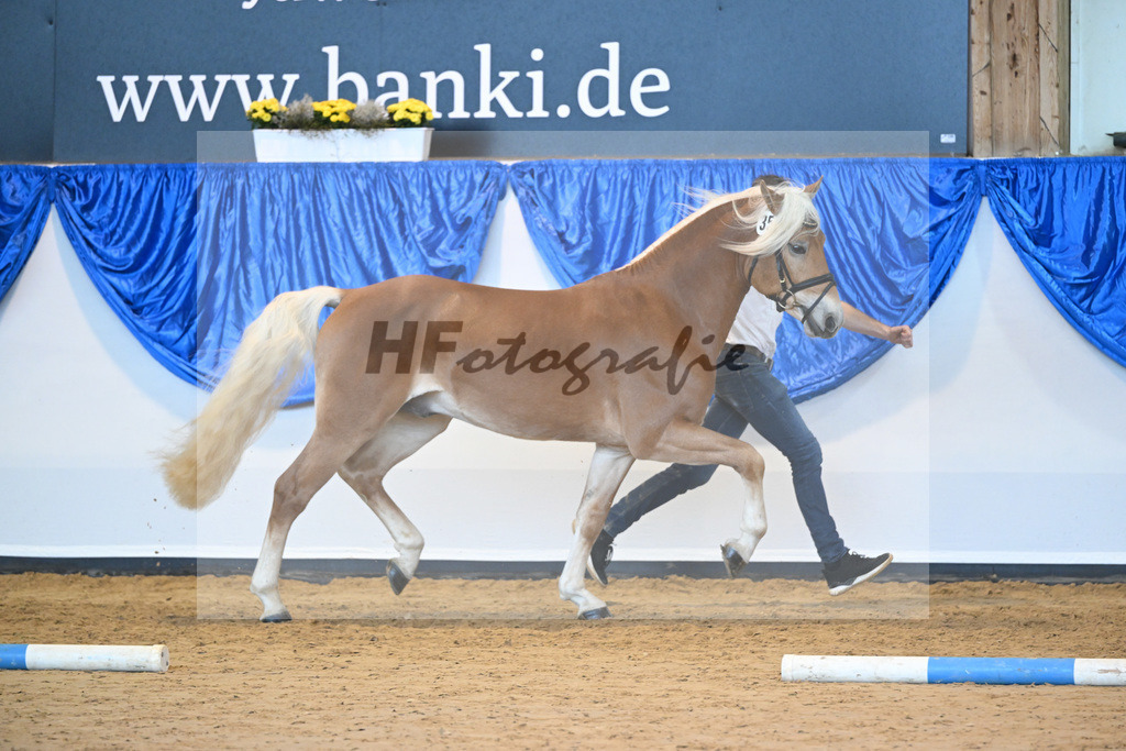 Kat-Nr. 35 Whisky Coke v. Wyno_Mayer_60220897 | hf-fotografie - Realisiert mit Pictrs.com