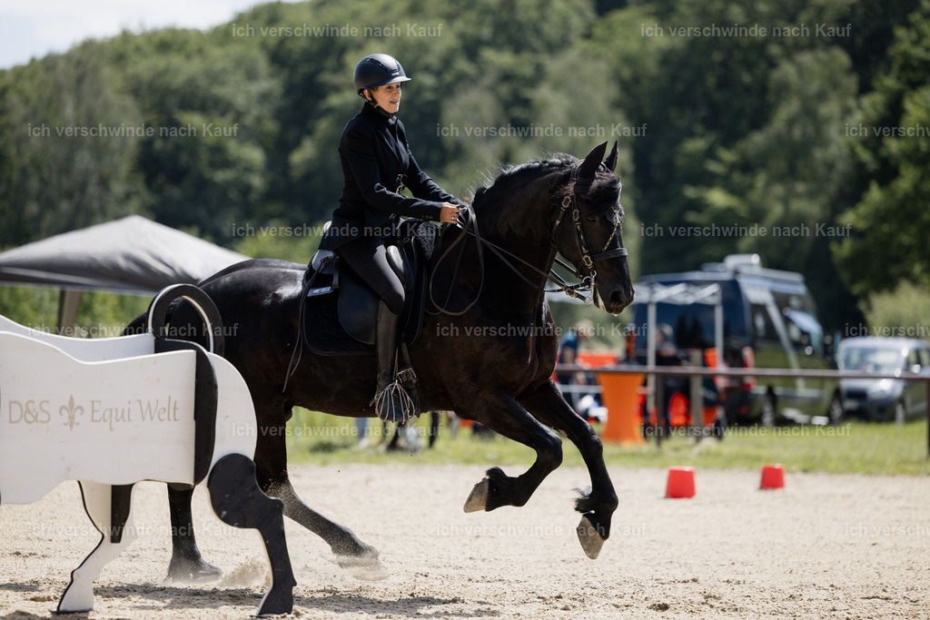 KlasseM_stoibphotography_C2_C9017.CR3 | working equitationturnier fotograf videograf stoibphotography marixx film working equitation deutschland reitsport turnierfotografie eventfotografie equestrian events