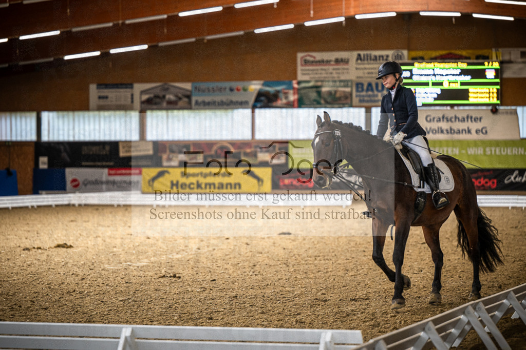 DOS_0965 | Entdecke hochwertige Reitturnierfotos von Foto Oger. Professionell, emotional und authentisch – jetzt Lieblingsmomente im Shop bestellen.Deutschlandweite Turnierfotografie. - Realisiert mit Pictrs.com