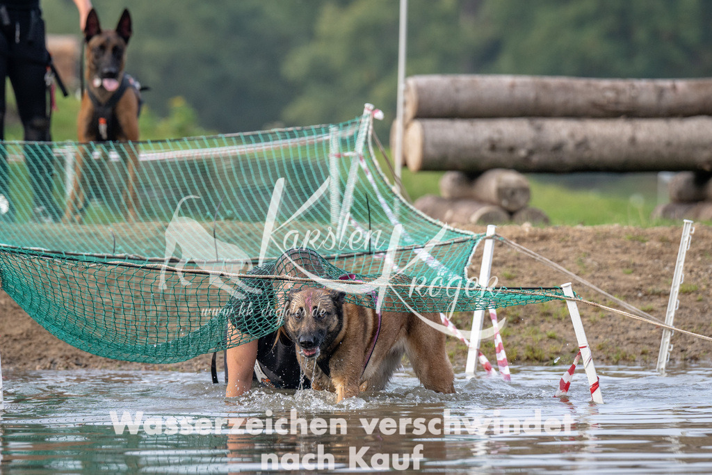 0942_ZZ90619 | kk-dogfotos