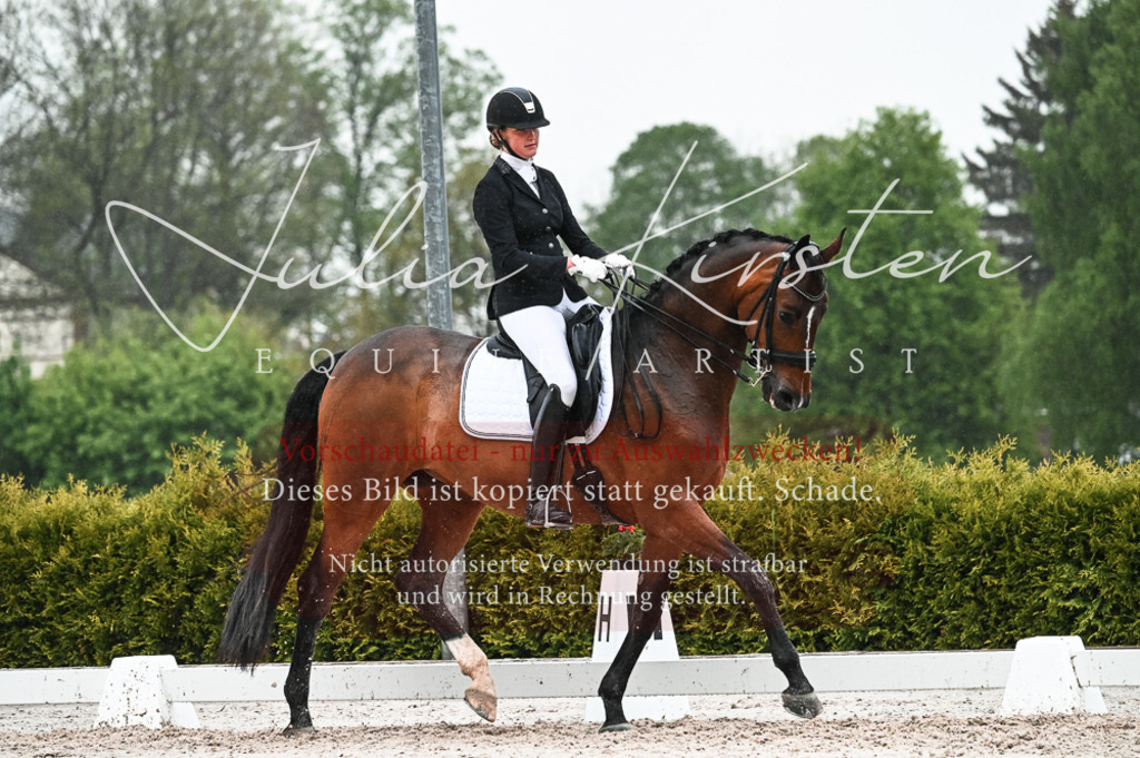 DSC_4575 | Pferde- und Turnierfotografie in Westsachsen. Pferdeportraits, Auftragszeichnungen und intuitive Kunst.
