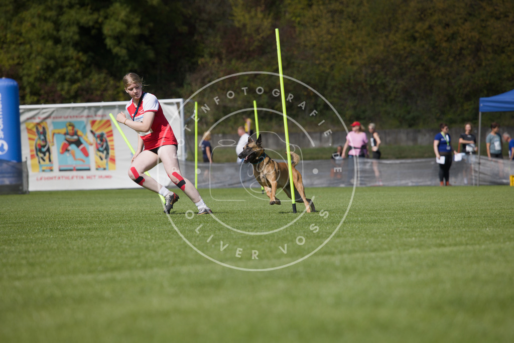 0L8A2890 | Hundefotografie, Tierfotograf, Pfotenfotografie, Fotoshooting Hund, Hunde Portrait, Hundesport, Hundeportraits, Heideshooting, Hunde, Sportfotograf, Hundefotograf, Turnierhundsport, THS,  - Realisiert mit Pictrs.com