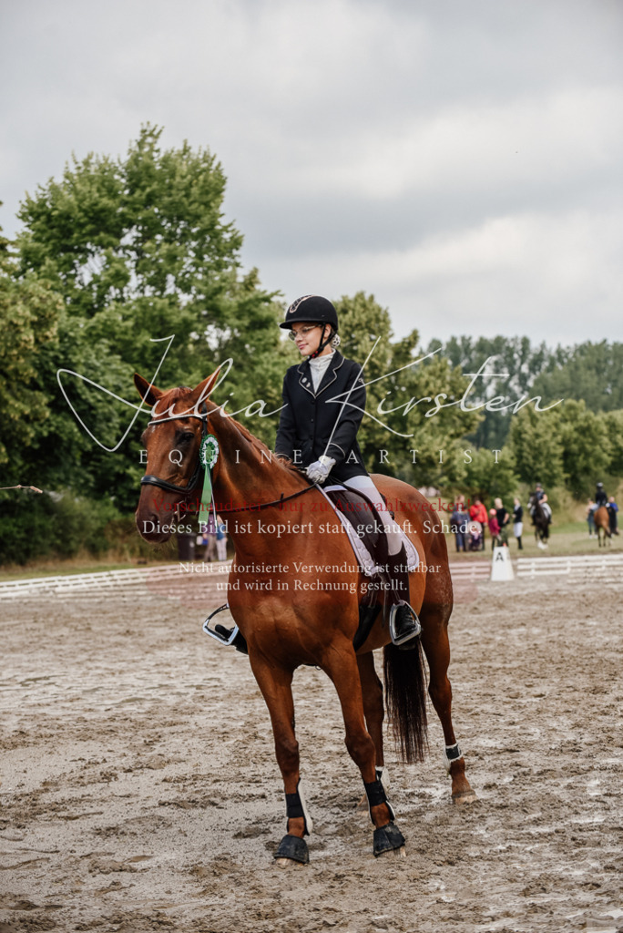 DSC_9374 | Pferde- und Turnierfotografie in Westsachsen. Pferdeportraits, Auftragszeichnungen und intuitive Kunst.