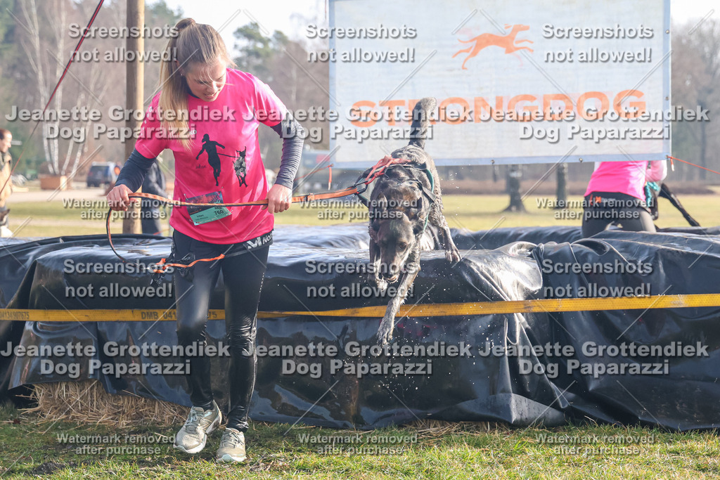 Dog Paparazzi - Strongdog North Mrz26-209 | Dog Paparazzi Jeanette Grottendiek Fotografie & Videografie - Realisiert mit Pictrs.com