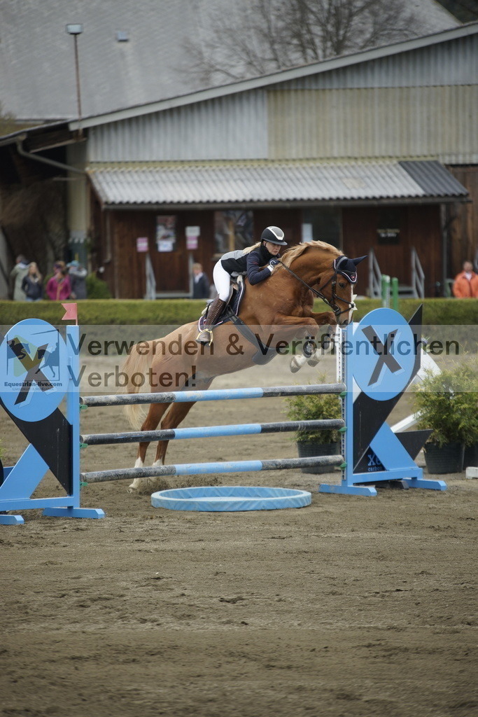 _DSC7335 | equestrian-live-com