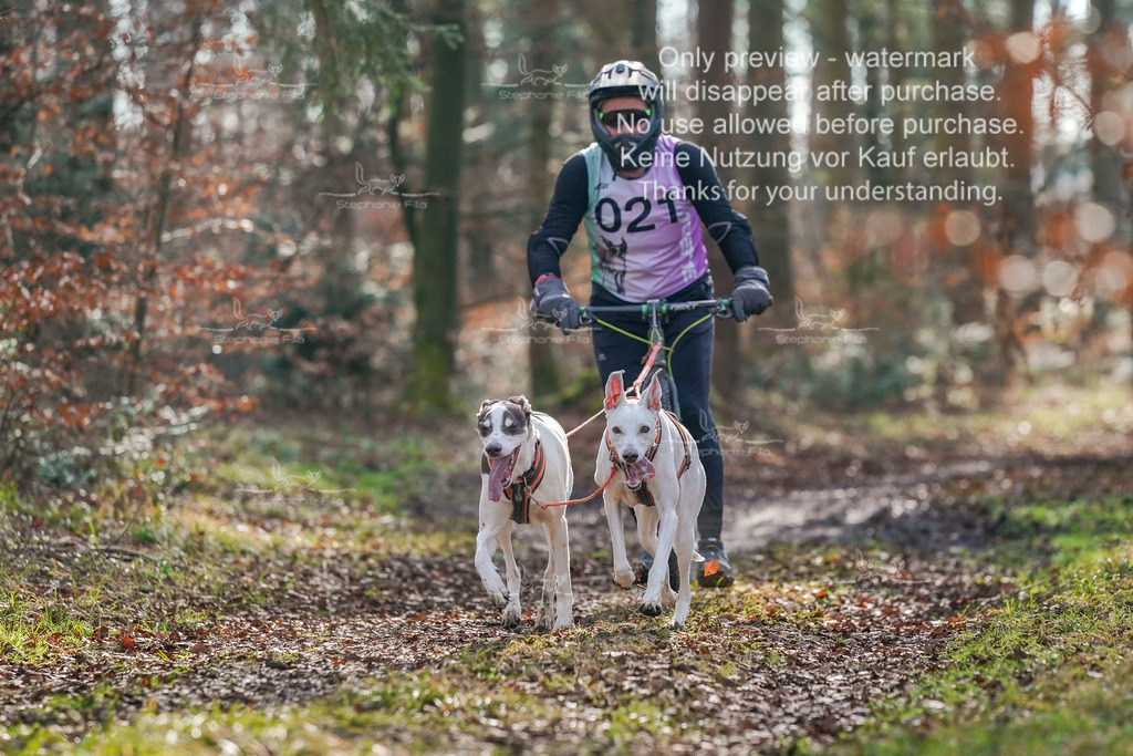 So_Scooter_2-80 | stephaniefillaphotographie - Realisiert mit Pictrs.com