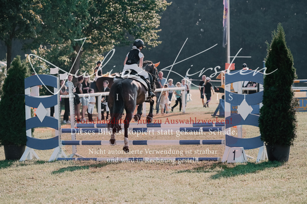 DSC_4461 | Pferde- und Turnierfotografie in Westsachsen. Pferdeportraits, Auftragszeichnungen und intuitive Kunst.