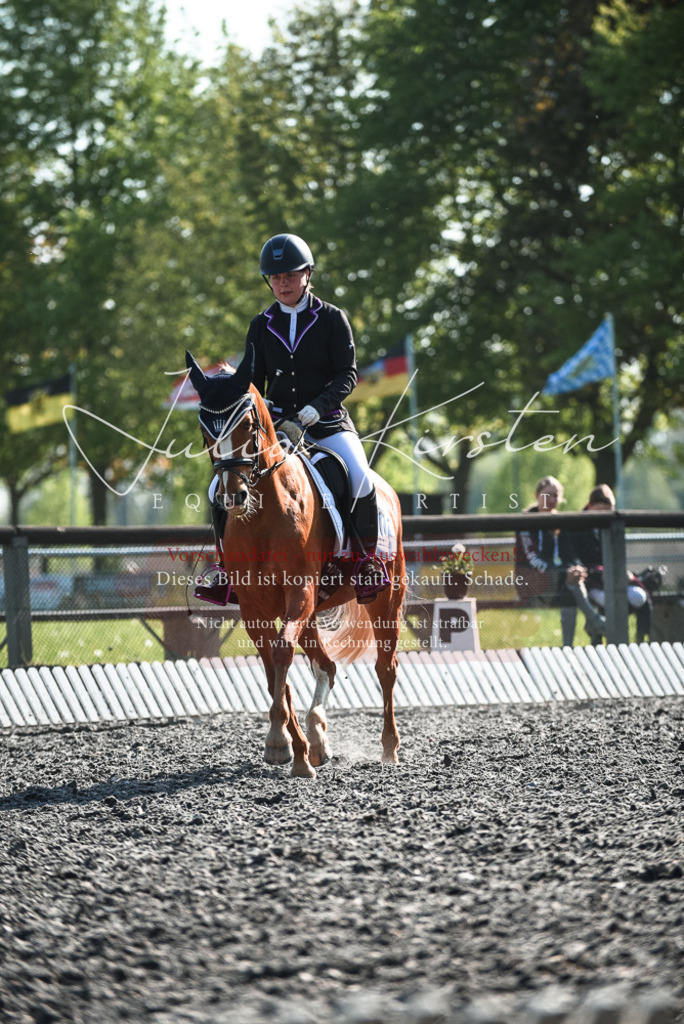 DSC_8420 | Pferde- und Turnierfotografie in Westsachsen. Pferdeportraits, Auftragszeichnungen und intuitive Kunst.