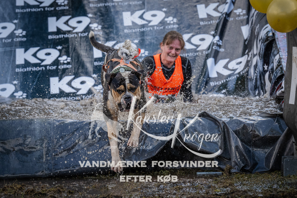 1517_ZZ94348 | kk-dogfotos