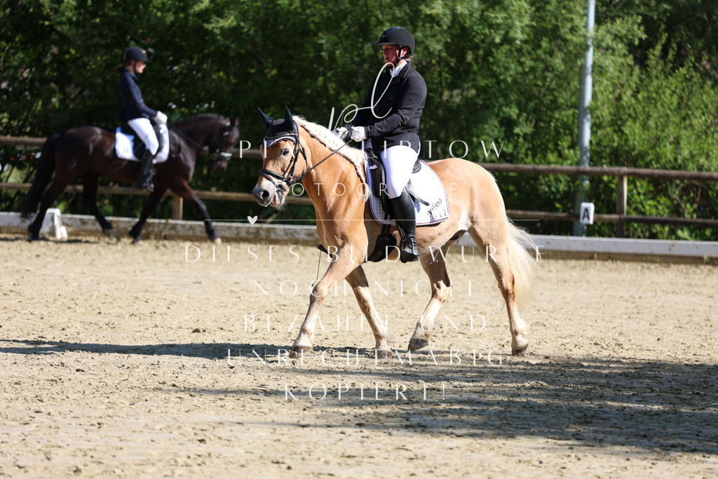 IMGT9954 | pl-fotografie