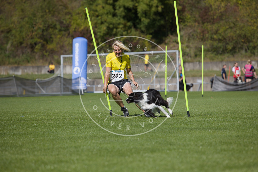 0L8A5972 | Hundefotografie, Tierfotograf, Pfotenfotografie, Fotoshooting Hund, Hunde Portrait, Hundesport, Hundeportraits, Heideshooting, Hunde, Sportfotograf, Hundefotograf, Turnierhundsport, THS,  - Realisiert mit Pictrs.com