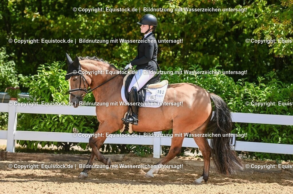 20230715_09_Dressur-WB_0354 | equistock