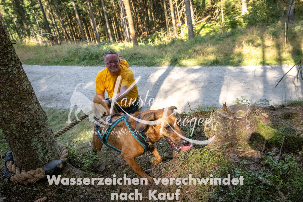 1112_ZZ90071 | kk-dogfotos