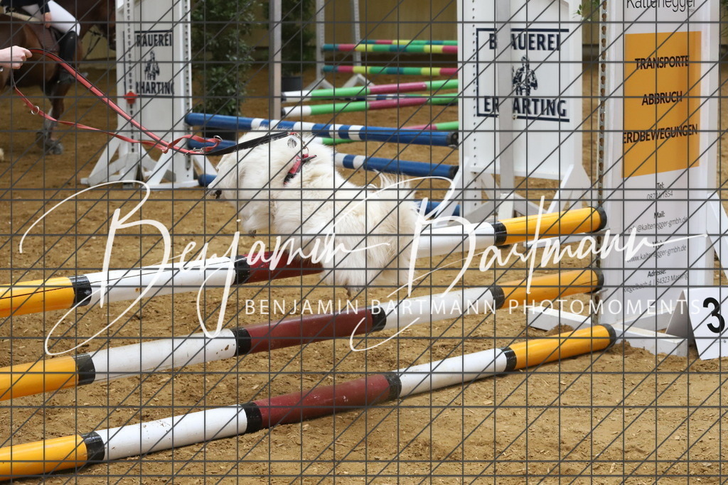 IMG_3951 | Benjamin Bartmann Photomoments