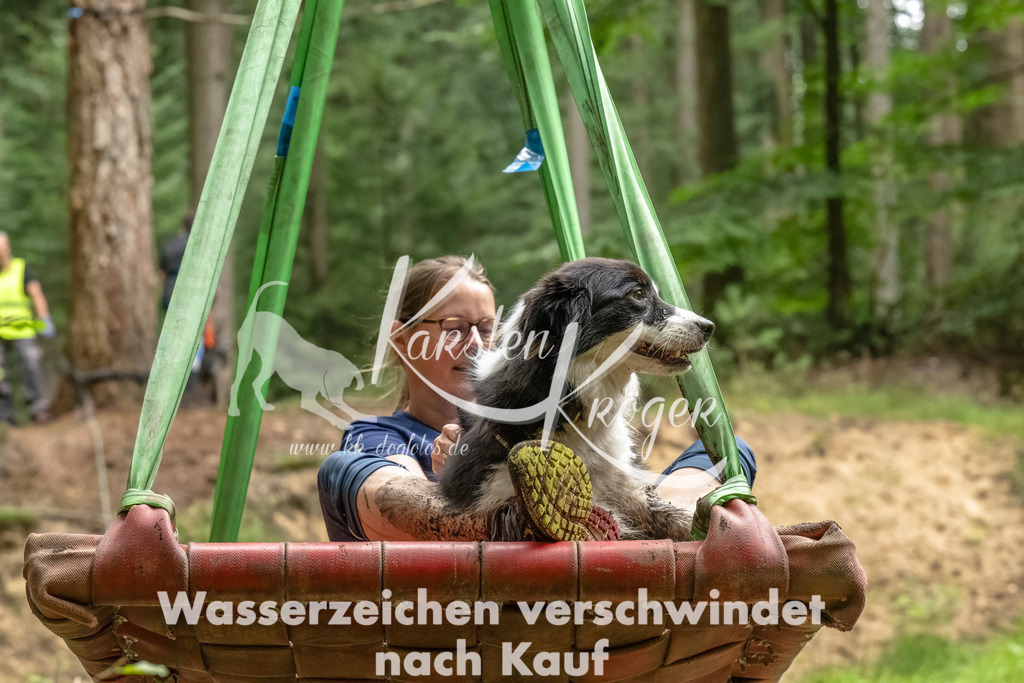 1243_ZZ91684-Bearbeitet | kk-dogfotos