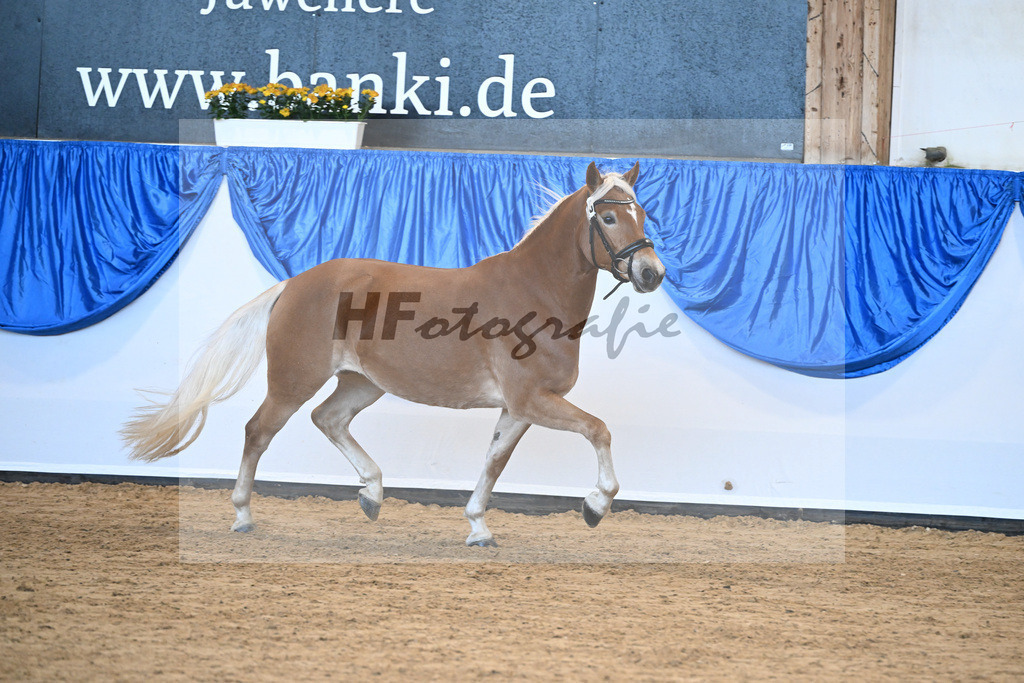 Bl. Band Kat-Nr. 13 Nosta Rica M v. Stano II_Mueller_48241197 | hf-fotografie - Realisiert mit Pictrs.com